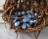 Speckled Egg Beads 6mm Round Druk Bead Matte Blue Periwinkle with Black Speckles 0EVE1988