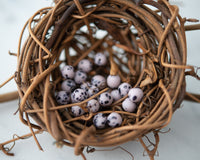 Speckled Egg Beads 6mm Round Druk Bead Matte Pastel Purple Thistle with Black Speckles 0EVE1990